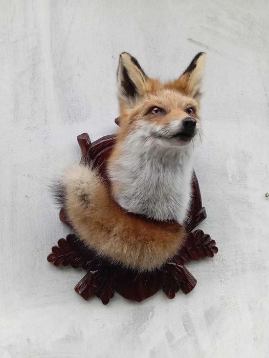 medalion lisa lowietwo trofea rzezba eksponat prezent