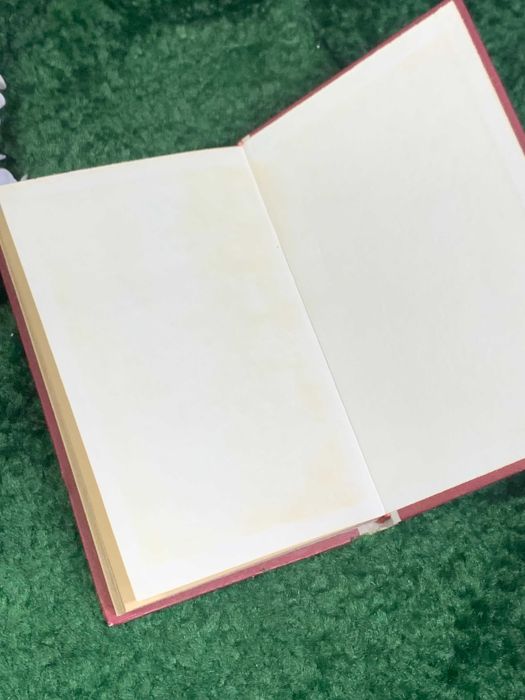 Книга мемуары «Батальоны идут на запад» И. Г. Попов, 1977