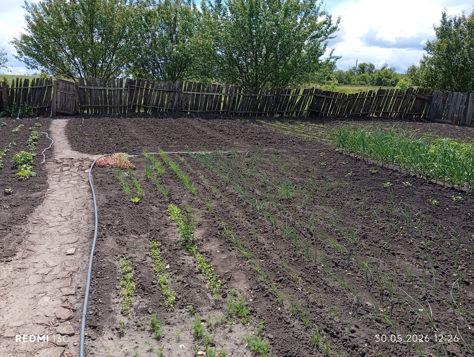 Продам дом в Скрипаях