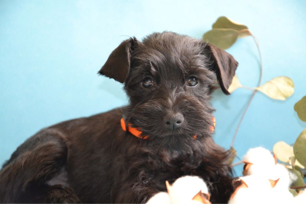 Подаруйте собі свято