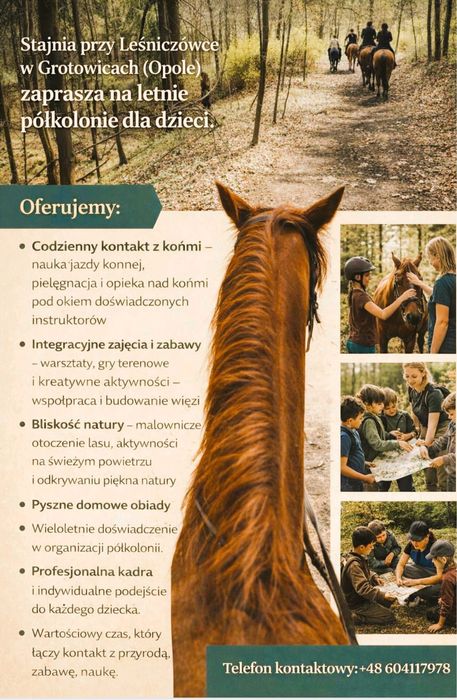 Półkolonie z końmi