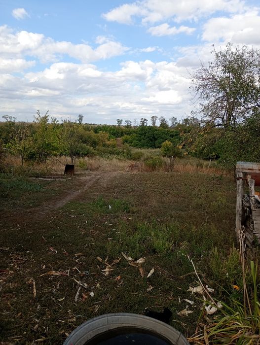 Продам пай в Павлоградском районе