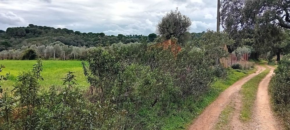 Oportunidade no Algarve! Terreno com ruina!
