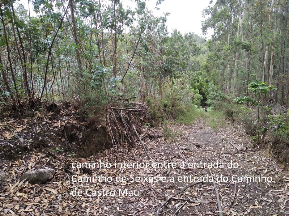 Terreno em Baguim do Monte com 6070M2 (rustico)