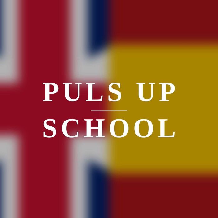 PulsUp school. Онлайн школа для вивчення іноземних мов