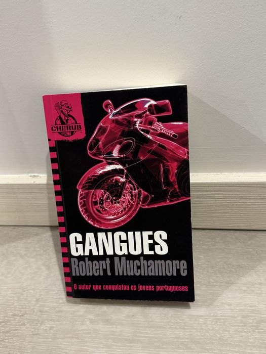 Gangues de Robert Muchamore