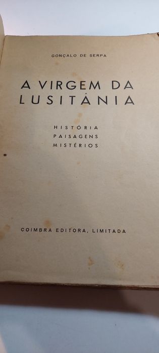 A Virgem da Lusitânia - Gonçalo de Serpa