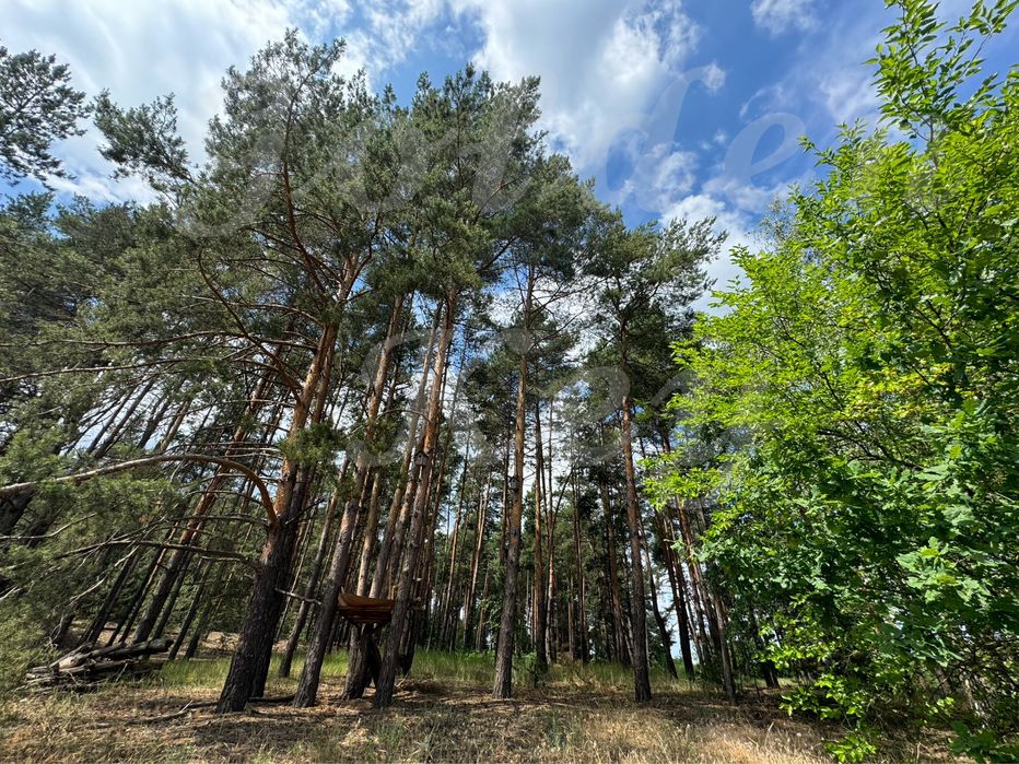 Продам НАЙКРАЩІ ділянки в МАЛЬОВНИЧОМУ місці, 27соток ,с.Проців, ЛІС