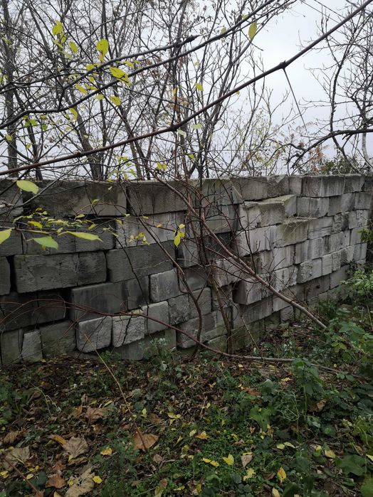 suporeks duża ilość