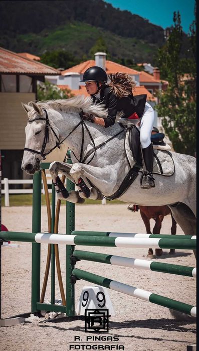 Lusitano_ 14 anos_ 1,72