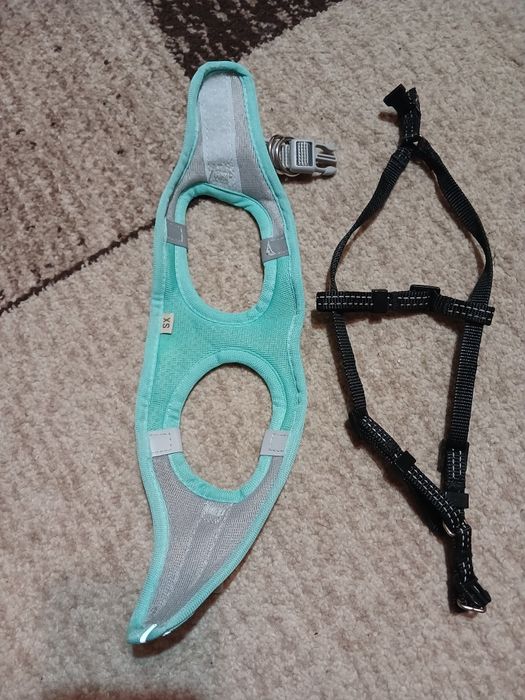 Шлея для собак малих