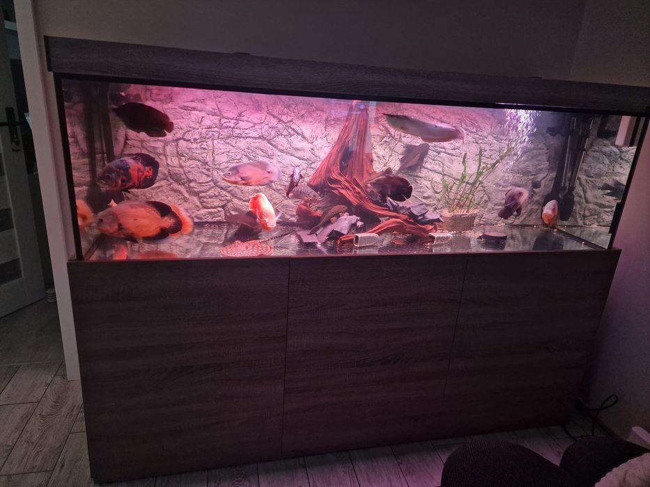 Akwarium ze stelażem 720l
