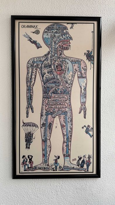 Quadro descritivo das funções do corpo humano