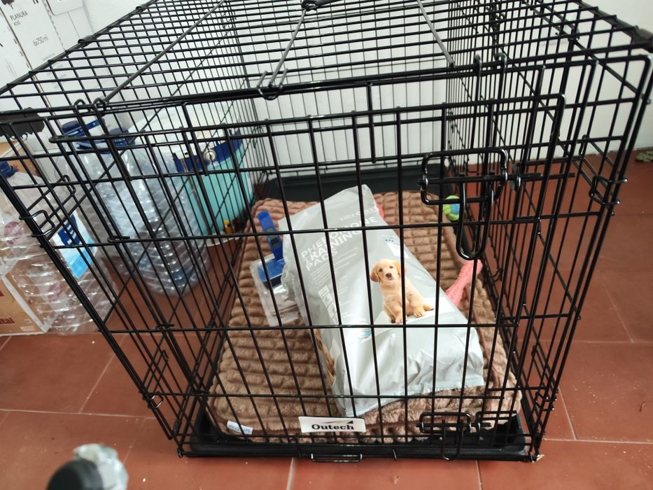 Vendo Jaula para Animais