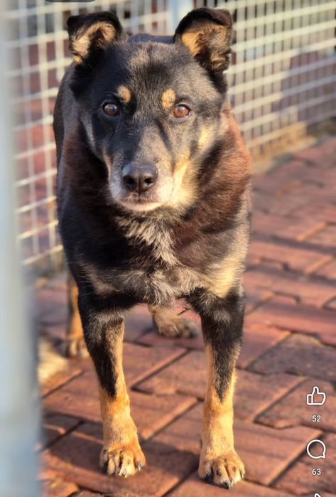 Derbi blaga o dom, ma czas do końca roku