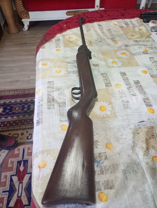Para caça em otimo estado