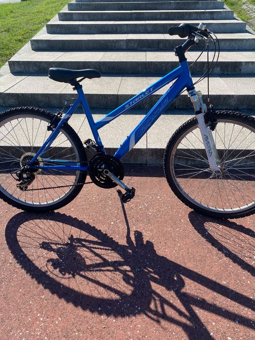 Bicicleta de grau