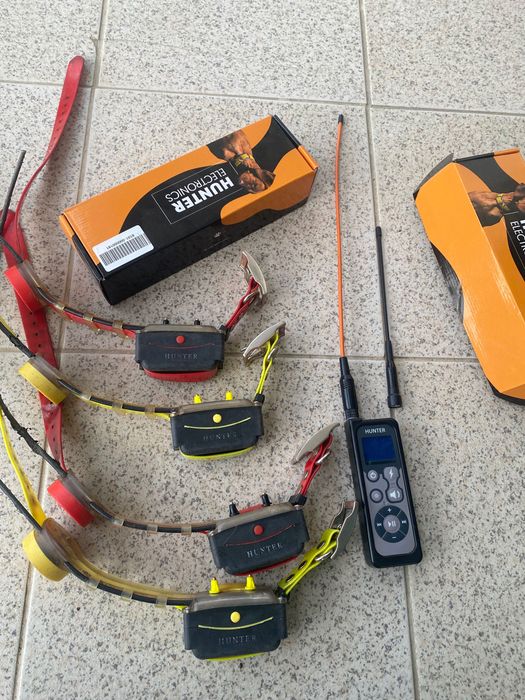 Coleiras gps com função de treino