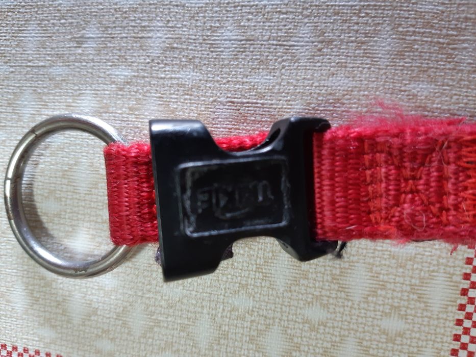 Vendo Coleira de Cão