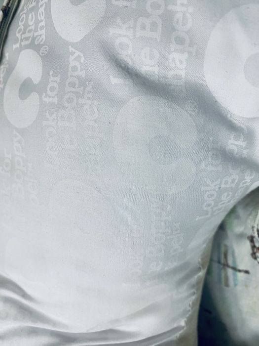 Almofada de amamentaçao Chicco- Boppy