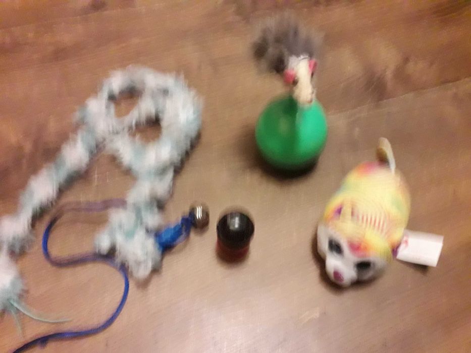 zabawki dla kota zestaw rzeczy