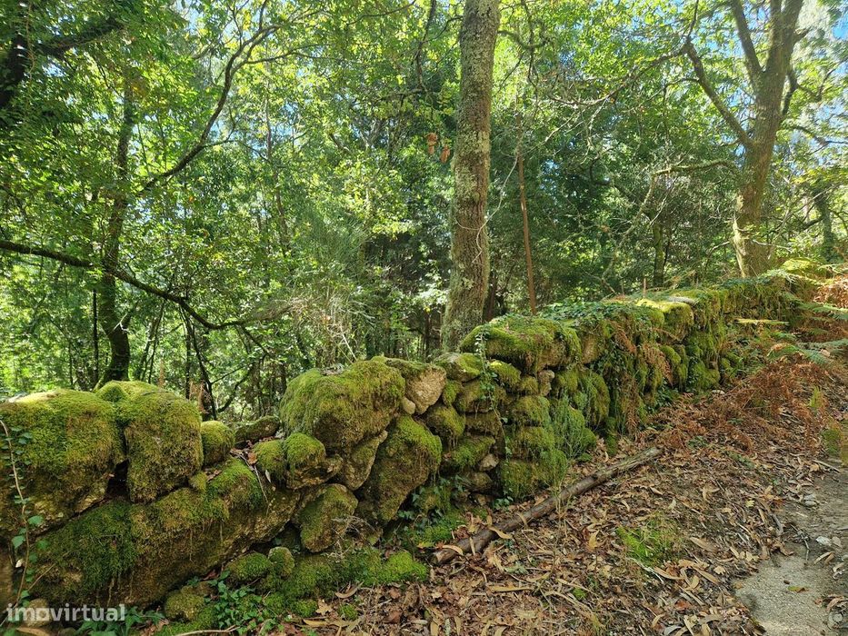 Terreno  Venda em Mosteiro,Vieira do Minho