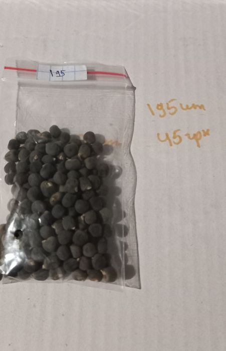 Насіння бамії              .