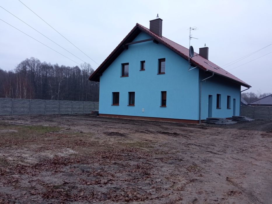 Do wynajęcia dom jednorodzinny dwulokalowy , dotyczy jednego lokalu.