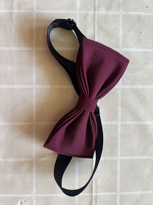 Чоловіча краватка метелик