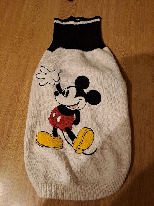 Super ubranko dla psa firmy Disney H&M