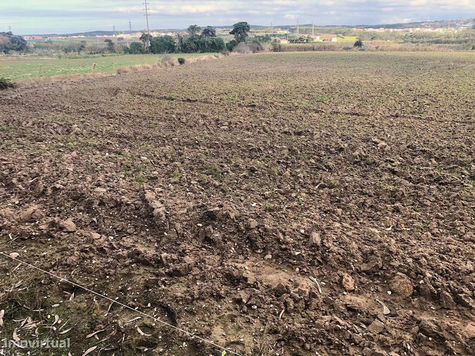 Terreno agrícola, indiviso, de 7000 m² na Vila de Atouguia Da Baleia — Atouguia da Baleia, Leiria