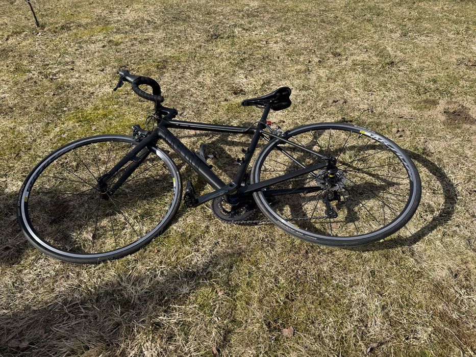 Canyon Endurance AL 6.0 WMN