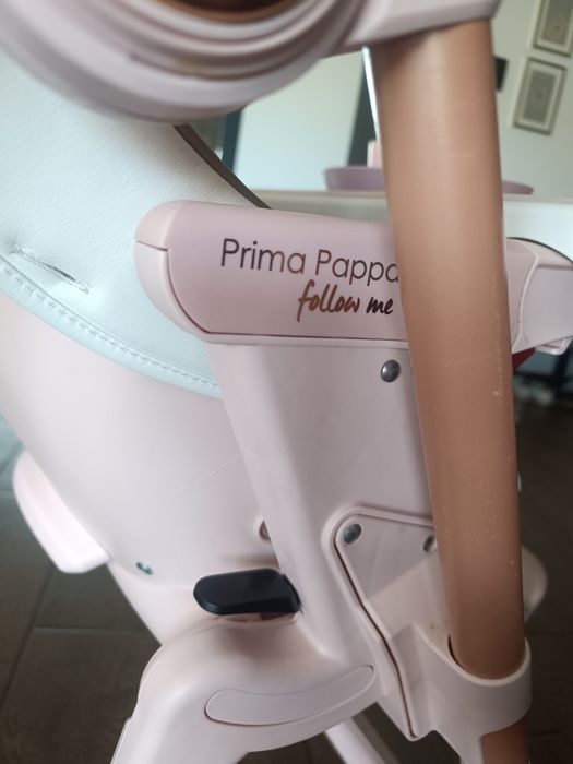 Krzesełko PegPerego Prima Pappa Follow Me

PRIMA PAPPA