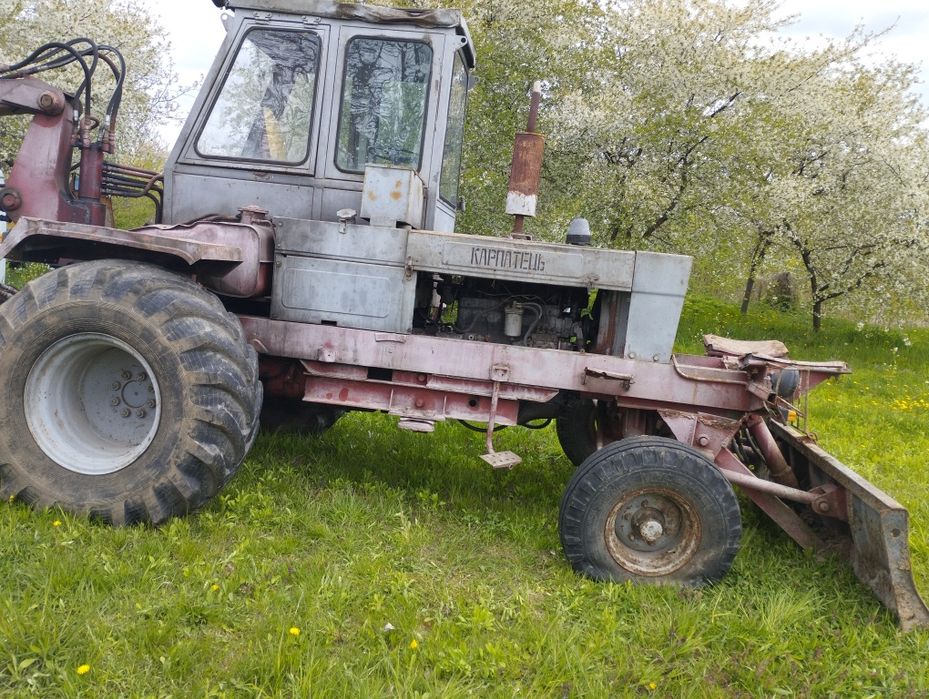 Продам Карпатець