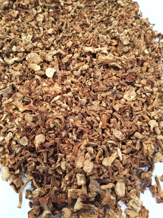 Suszone grzyby kurki