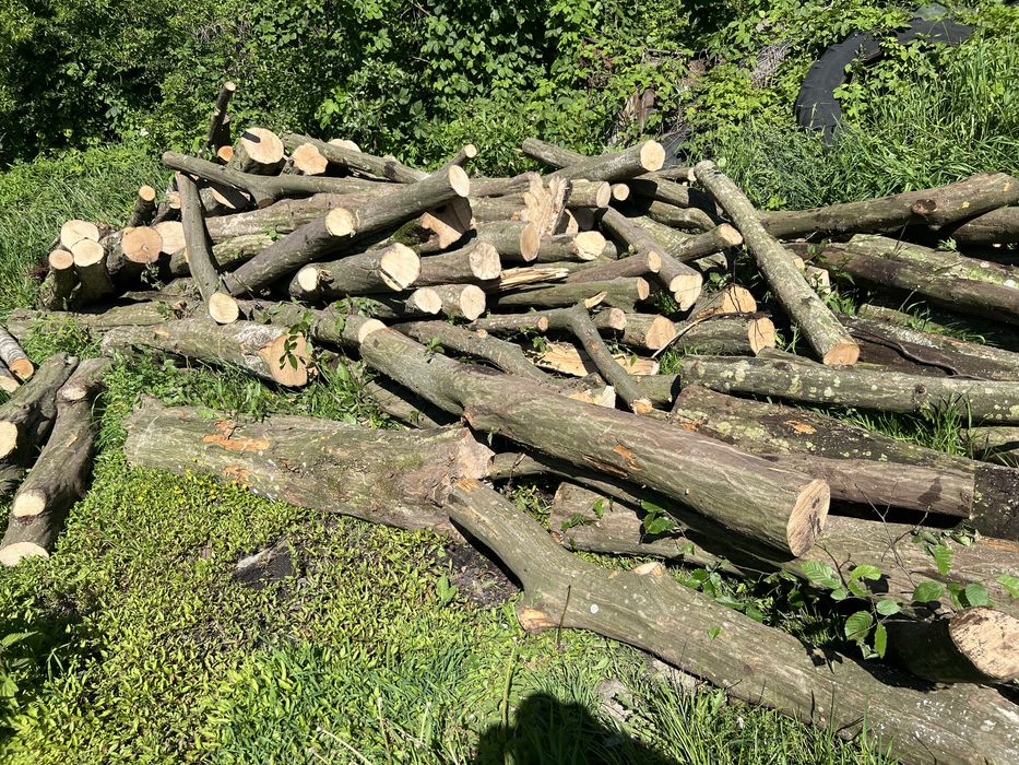 Продаж , доставка Дорова тверда та м’яка порода