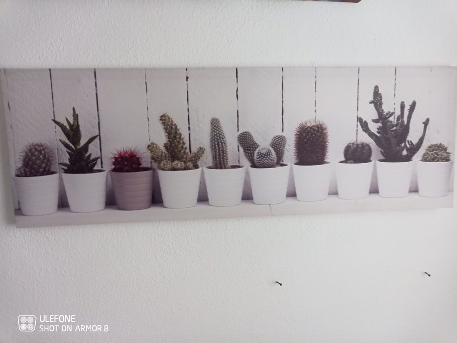 Quadros decorativos