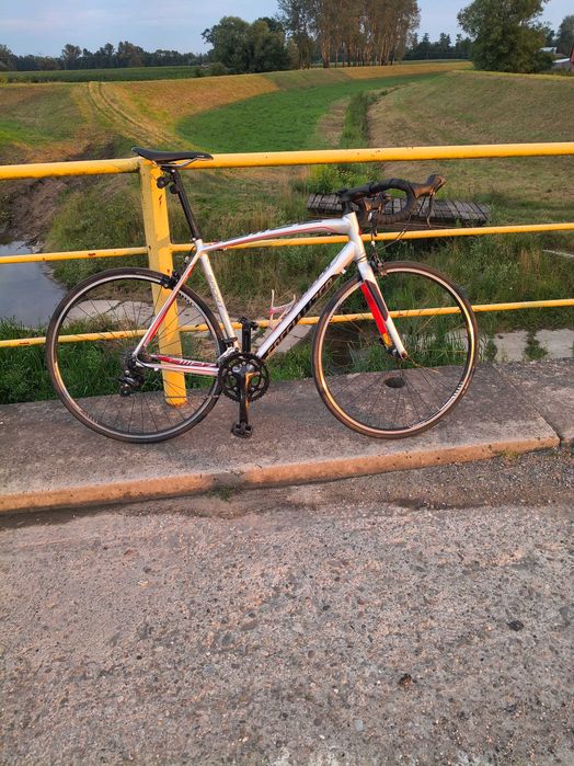Kolarka Specialized Allez rozm L