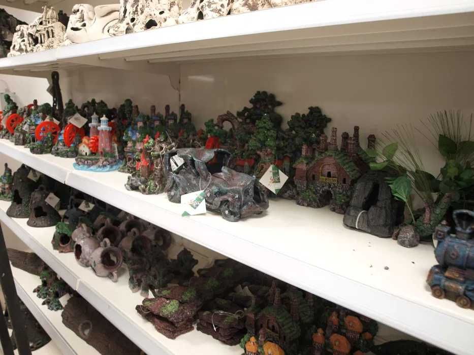 Terrarium dla węża 50x50x100