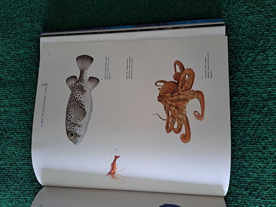 Pavilhão dos Oceanos - Catálogo Oficial- EXPO 98