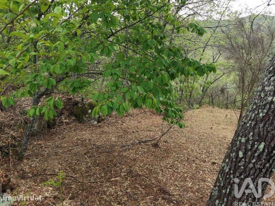 Casa de Campo em Aldeias e Mangualde da Serra de 40,00 m2