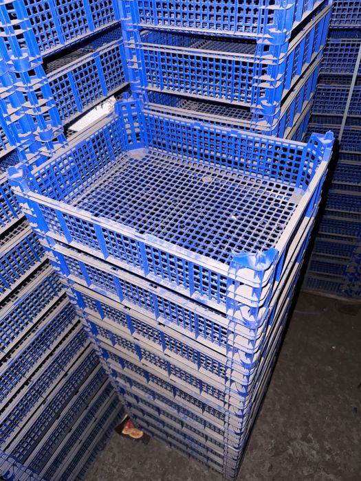 Продам пластиковые ящики оптом