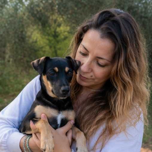 Pet sitting (cães e gatos)