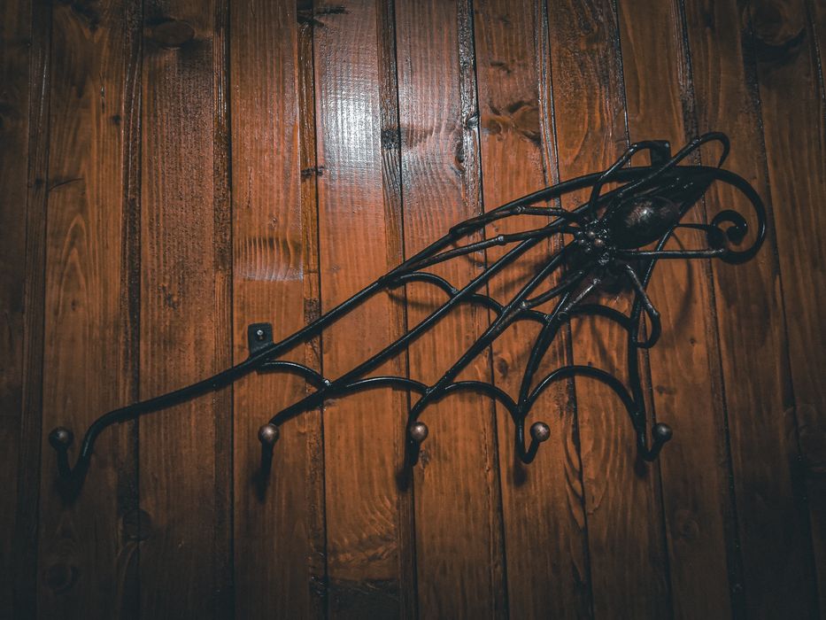 Вішалка кована ручної роботи