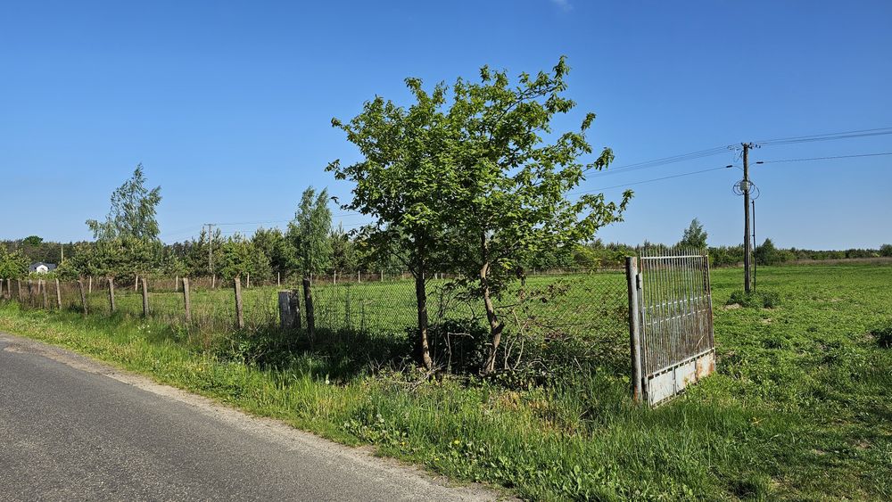 Działka 3000m2 blisko lasu / Mszczonów / Szkoła / Dojazd do WWA