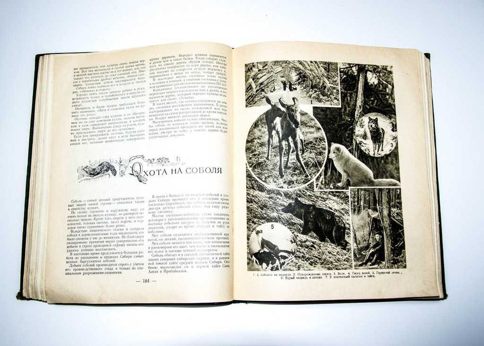 Настольная книга охотника-спортсмена. Том II. 1956