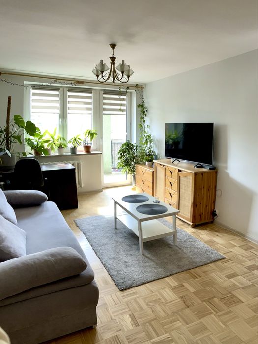 Kawalerka 2000 ze wszystkim