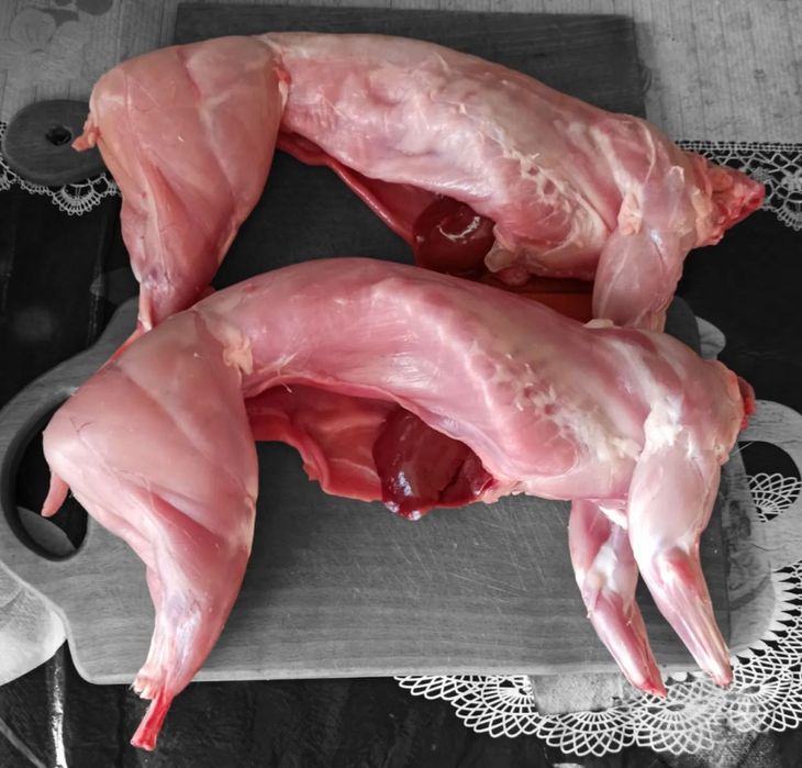 Продам кролика на забій, живих кролів і кроликів