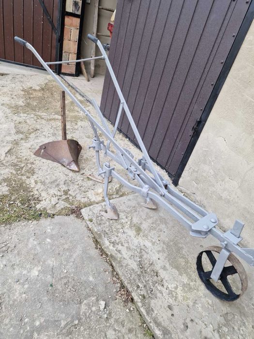 Кінний грасок  нормальний стан