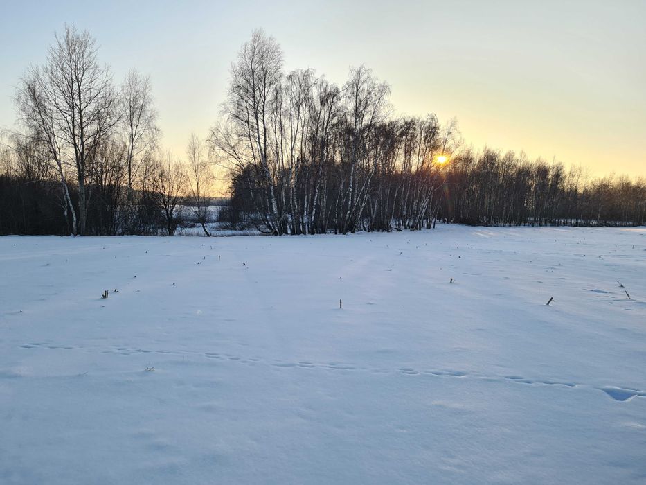 Sprzedam malowniczo położone siedlisko ze stawem